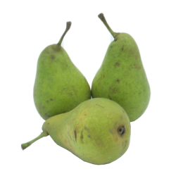Poire Guyot