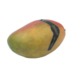 Mangues - Côte d'Yvoire, 1...