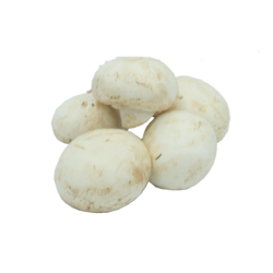 Champignons de Paris