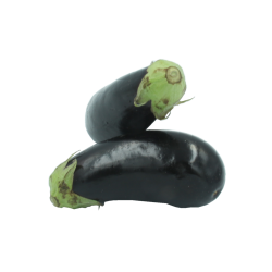 Aubergine - 1 pièce