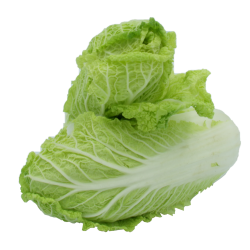 Chou chinois, 1 pièce