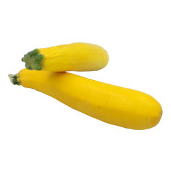 Courgettes jaunes, 1 pièce