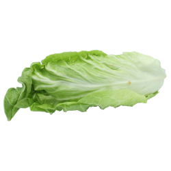 Pain de sucre, 1 pièce