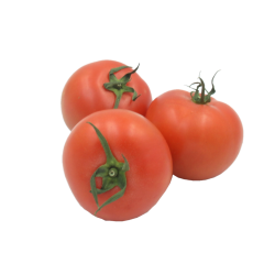 Tomate rose de Berne