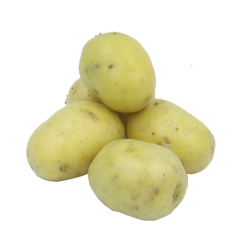 Pomme de terre charlotte