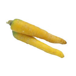Carottes jaunes, 1 pièce