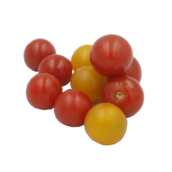 Tomates cerises