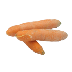 Carottes, 1 pièce