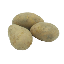 Pomme de terre Agrias