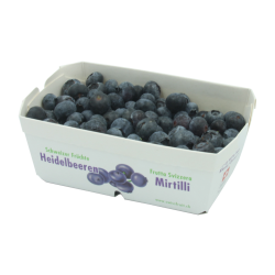 Fruits rouges - myrtilles...