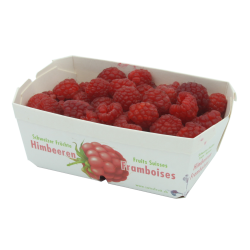 Fruits rouges - framboises...