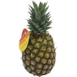 Ananas