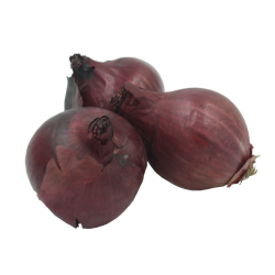 Oignons rouges - la pièce