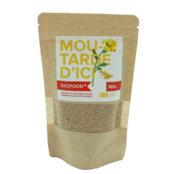 Graines de moutarde jaune